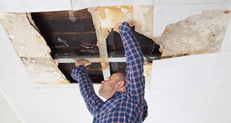 Roof leak damage in florida