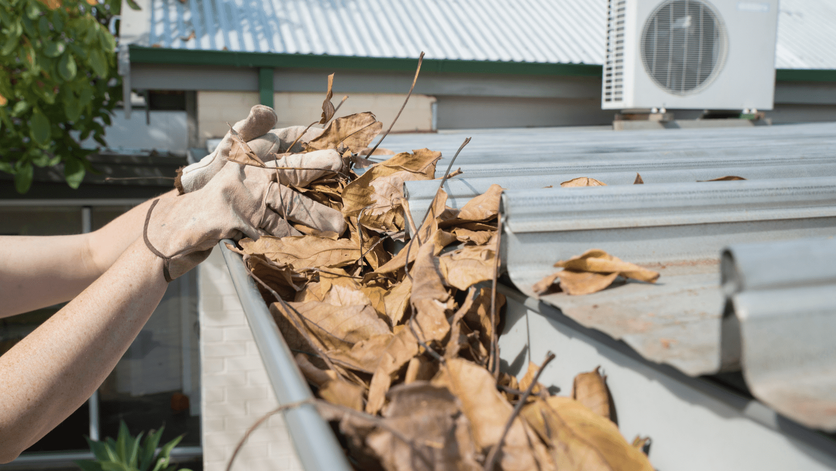 Home Maintenance in Florida